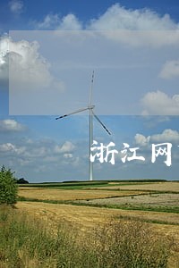 浙江网贷逾期修复哪家好 浙江网贷逾期修复哪家好