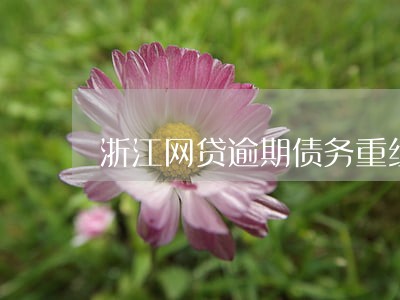 浙江网贷逾期债务重组怎么协商 浙江网贷逾期债务重组怎么协商