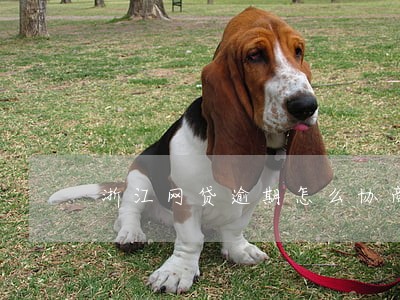 浙江网贷逾期怎么协商 浙江网贷逾期怎么协商