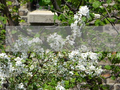 浙江股份抵押合同律师在线咨询 浙江股份抵押合同律师在线咨询