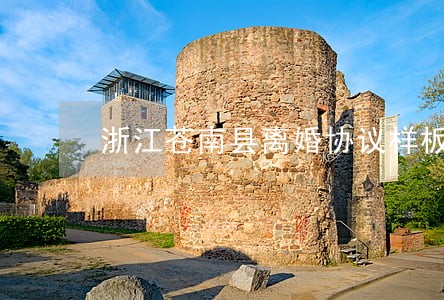 浙江苍南县离婚协议样板