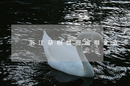 浙江草根投资逾期企业