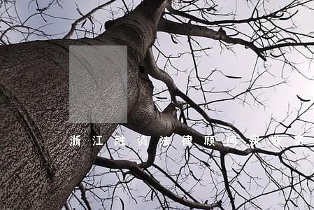 浙江融资法律顾问费收费 浙江融资法律顾问费收费