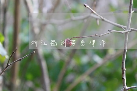 浙江衢州劳勇律师 浙江衢州劳勇律师
