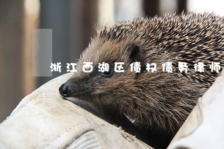 浙江西湖区债权债务律师哪里找 浙江西湖区债权债务律师哪里找