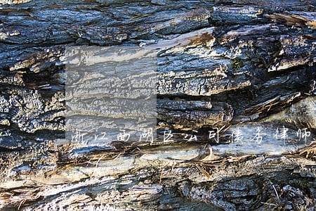 浙江西湖区公司债务律师费用 浙江西湖区公司债务律师费用