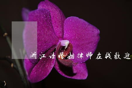 浙江请婚姻律师在线欢迎致电