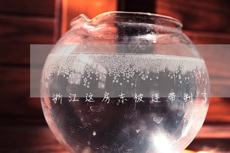 浙江这房东被连带判了