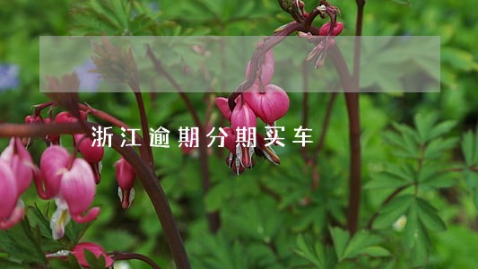 浙江逾期分期买车