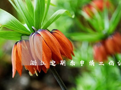 浙江逾期未申请工伤认定 浙江逾期未申请工伤认定