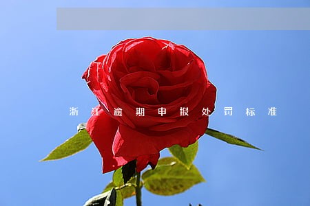 浙江逾期申报处罚标准 浙江逾期申报处罚标准
