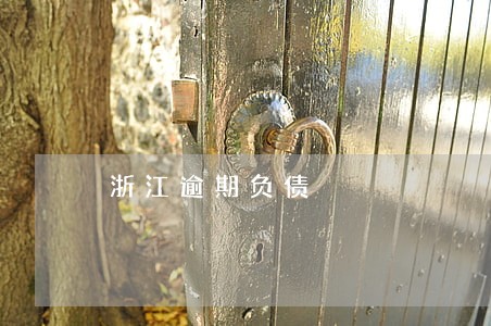 浙江逾期负债