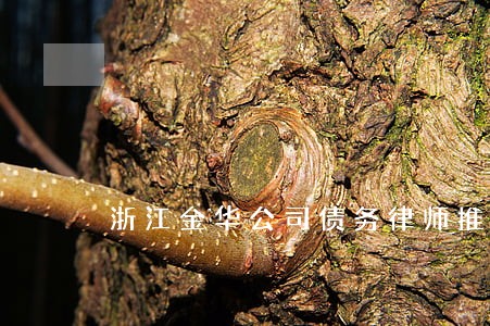 浙江金华公司债务律师推荐 浙江金华公司债务律师推荐