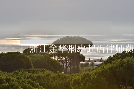浙江金华刑事起诉律师费用标准 浙江金华刑事起诉律师费用标准