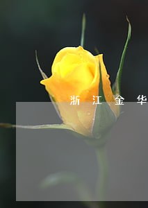 浙江金华有解决网贷逾期的单位吗 浙江金华有解决网贷逾期的单位吗