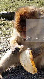 浙江金华法院报录比例 浙江金华法院报录比例