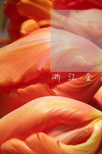 浙江金融交易中心逾期 浙江金融交易中心逾期