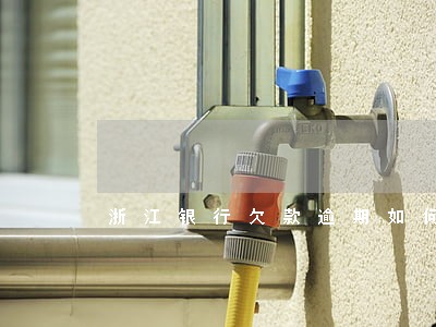 浙江银行欠款逾期如何申请