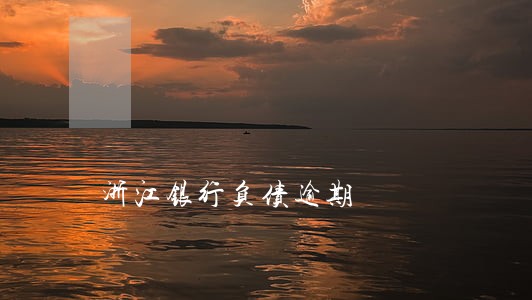 浙江银行负债逾期 浙江银行负债逾期