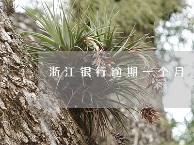 浙江银行逾期一个月