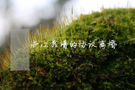 浙江靠谱的协议离婚 浙江靠谱的协议离婚