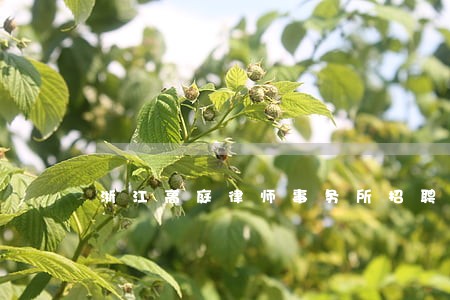 浙江高庭律师事务所招聘启事 浙江高庭律师事务所招聘启事