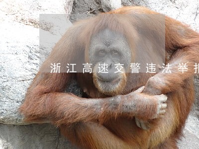 浙江高速交警违法举报 浙江高速交警违法举报