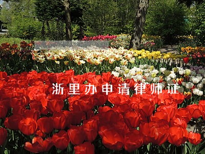 浙里办申请律师证 浙里办申请律师证