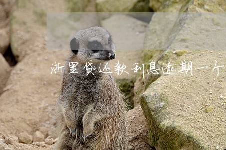 浙里贷还款利息逾期一个月怎么办 浙里贷还款利息逾期一个月怎么办