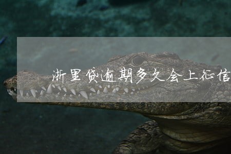 浙里贷逾期多久会上征信 浙里贷逾期多久会上征信