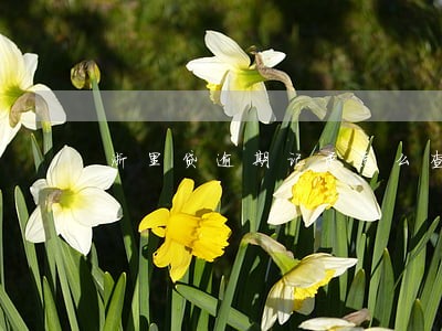 浙里贷逾期记录怎么查 浙里贷逾期记录怎么查