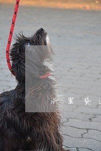 浙里贷逾期还利息 浙里贷逾期还利息