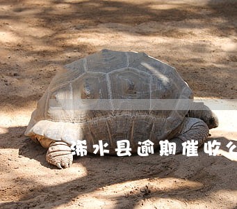 浠水县逾期催收公告 浠水县逾期催收公告