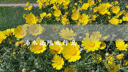 浠水法院执行庭