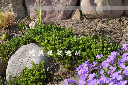 浣熊理财逾期 浣熊理财逾期