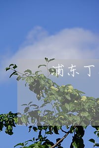 浦东丁香路法院地址 浦东丁香路法院地址