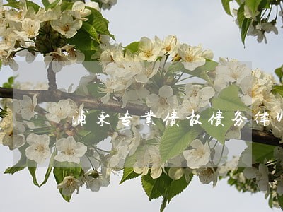 浦东专业债权债务律师哪里找 浦东专业债权债务律师哪里找