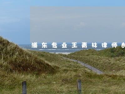 浦东专业王青林律师邮箱