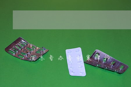 浦东专办专利案律师
