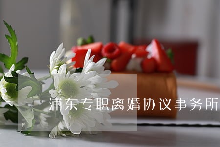 浦东专职离婚协议事务所 浦东专职离婚协议事务所