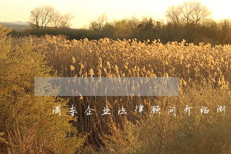 浦东企业法律顾问介绍浏览器优选 浦东企业法律顾问介绍浏览器优选