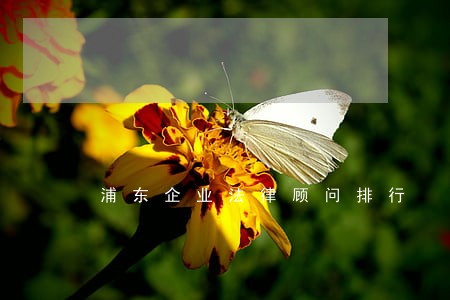 浦东企业法律顾问排行 浦东企业法律顾问排行