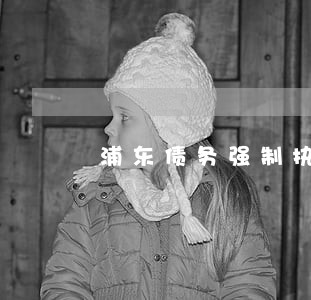 浦东债务强制执行律师 浦东债务强制执行律师