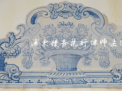浦东债务执行律师法律咨询 浦东债务执行律师法律咨询