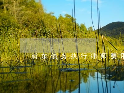 浦东债务执行律师费用 浦东债务执行律师费用