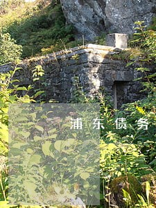 浦东债务担保律师法律咨询 浦东债务担保律师法律咨询