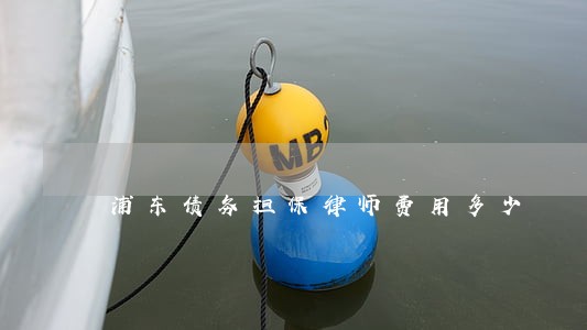 浦东债务担保律师费用多少 浦东债务担保律师费用多少