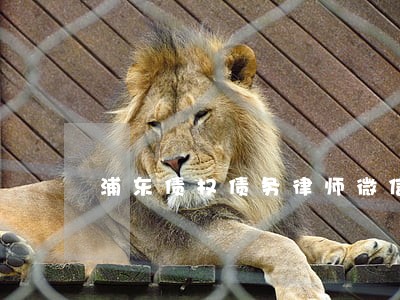 浦东债权债务律师微信咨询 浦东债权债务律师微信咨询