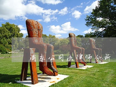 浦东公司法律师分析 浦东公司法律师分析