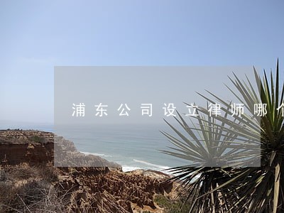 浦东公司设立律师哪个强 浦东公司设立律师哪个强